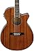Ibanez AEG12IINT Acoustic-Electric Guitar, Natural Finish