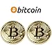 YaaNBit M1N1NG19 2PCs Gold Plated Bitcoins | HODL Cryptocurrency | Limited Edition BTC Crypto Coins Mining | Unique Gifts for Adults/Funny Gift