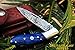 DKC Knives (9 5/18) DKC-58-DS Blue Bone Handle Little Jay Series Knives Damascus Folding Pocket Knife 4