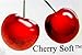 Cherry Soft Sealing Stethoscope Eartips