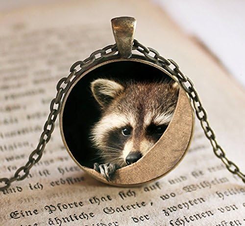 Raccoon Pendant,Necklace,Jewelry, Raccoon Necklace Jewelry, Raccoon Photo Jewelry Glass Pendant Gift