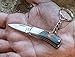SE Keychain Knife with Paka Wood Handle - KC331WC