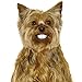Pedigree Dentastix Mini Oral Care Treats for Dogs, Small, 13.97 Ounce (Pack of 4)