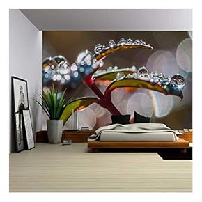 a Macro Shot of Leaves Covered in Dewdrops - Removable Wall Mural | Self-Adhesive Large Wallpaper - 66x96 inches