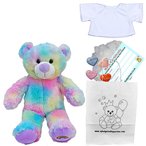 Magical Rainbow Teddy Bear - Soft Plush Toy - 10 inch / 25cm - Build your own Teddy Bear - Party Kit (25cm Kit with T-Shirt)