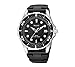 Pulsar Men's Black Quartz Watch