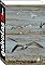 Livro Gaivotas (150 imagens)
