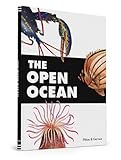 The Open Ocean