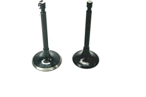 Lil Red Barn Intake & Exhaust Valve Set for Stihl BR500, BR550, BR600 & BR700 4-Mix Backpack Blower – Replaces 4282 025 1903 