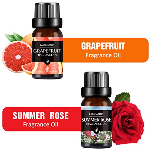 Fragrance Essential Oil - Organic 6pc Holiday Breeze Scent Gift Set - Perfect for Candle Making, Soap Scents, Slime… - Image 4