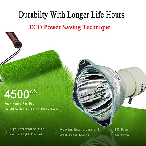 EWO'S BL-FU195C Projector Bare Lamp Bulb for Optoma HD142X HD27 HD25-LV HD25 hd131xe HD66 GT760 Lamp Bulb Replacement