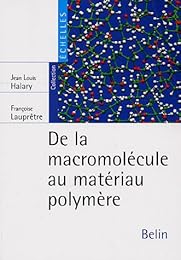 De la macromolécule au matériau polymère