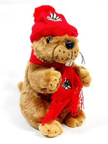 City Souvenir Shop Teddy Murmeltier mit Jodel-Stimme, Schal und Pudelmütze, 18cm