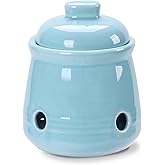 HAOTOP Ceramic Garlic Keeper with Lid, Mini Garlic Saver Container for Countertop, Kitchen Decor (Turquoise)