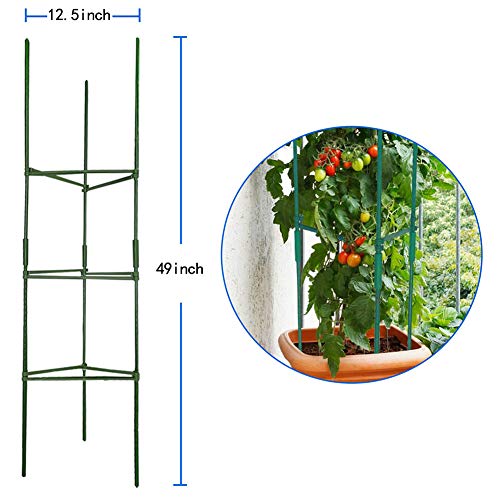 H&ZT 6-Pack Tomato Cage Garden Plant Cages, w/1 Roll Wire Twist Tie, 1 Roll Nylon Trellis Netting, for Vertical Climbing Plants (6-Pack)