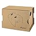 Skque Google Cardboard 2016 Version 2 kit,3D VR Google Carboard Kit 2 Virtual Reality for iPhone 6s/6 Plus/ 6/5s/5c/5 and Galaxy S4/S5/S6 Second-generation Compatible with Android and Apple