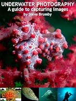 Underwater photography: A guide to capturing images Underwater photography: A guide to capturing images