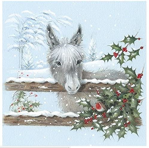 Charity Christmas Cards - Little Donkey & Robin Pack of 6 Sold in Aid of Marie Curie, Alzheimer's Society, MS Trust, Shelter, Parkinson's UK & Oxfam