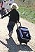 Obersee Kids Luggage with Integrated Snack Cooler, Space