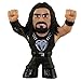 Funko Mystery Minis Vinyl Figure - WWE Series 2 - ROMAN REIGNS