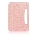 ACdream Kindle Paperwhite Case, Leather Cover fits all Paperwhite generations prior to 2018 (Will not fit All-new Paperwhite 10th generation), Rose Gold Star of Paris