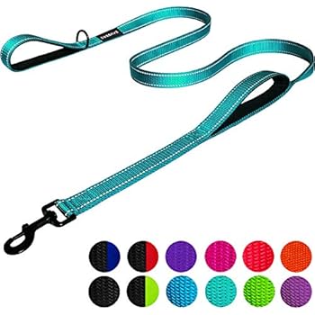 Dog Leash 6ft Long - Traffic Padded Two Handle - Heavy Duty - Double Handles Lead for Training Control - 2 Handle Leashes for Large Dogs or Medium Dogs - Reflective Pet Leash Dual Handle (Teal)