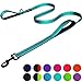 Dog Leash 6ft Long - Traffic Padded Two Handle - Heavy Duty - Double Handles Lead for Training Control - 2 Handle Leashes for Large Dogs or Medium Dogs - Reflective Pet Leash Dual Handle (Blue)