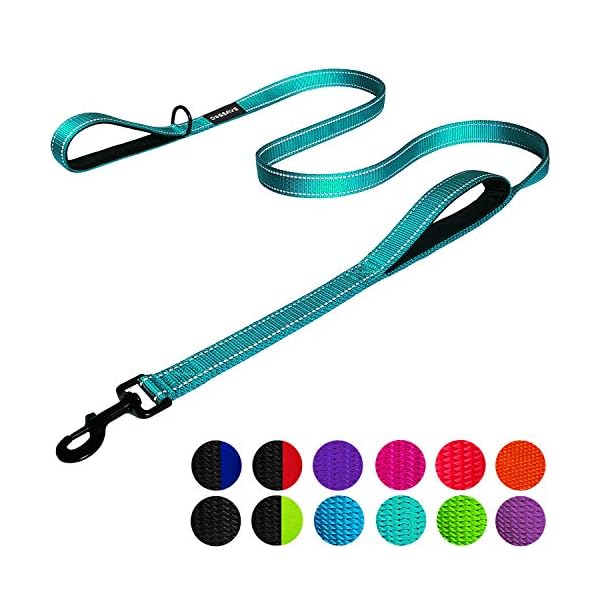 2 handle dog leash