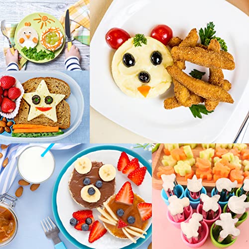 Sandwich Cutters Vegetabel Shape Cutters for Kids 13 PACK Round Heart Flower Star Sandwich