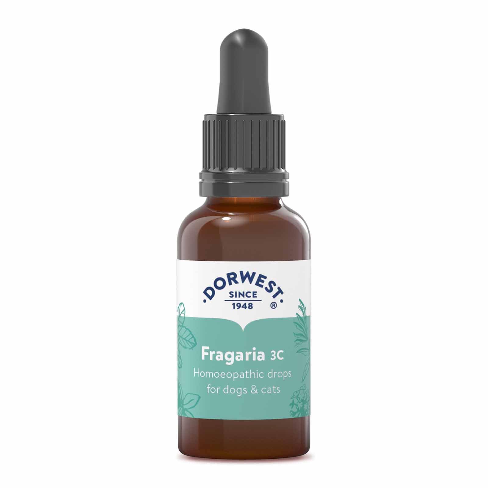 Dorwest Herbs Fragaria 3C Homoeopathic Liquid Remedy for Dogs & Cats - 15ml