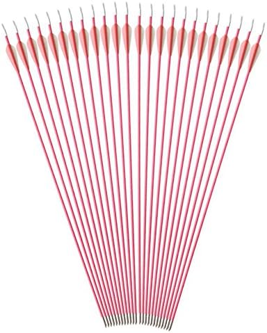 Sportsmann Archery Fiberglass Arrows 12PCS Targeting Arrows Practice Hunting Arrows 31inch with Metal Broadheads Fixed Tips for Compound Bow Recurve Bows Pink