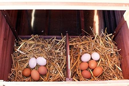 Zooprimus Poulailler En Bois Pour Jardin Extérieure Cage Canard équipé 2 Nichoirs 188 X 87 X 113 Cm 129 Ferme De Terrain