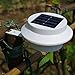 SciencePurchase 8 Pack Outdoor LED Solar Lights with Brackets - Water Resistant, Automatic On at Night/Off at Sunrise