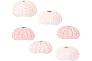DIYEAH 6pcs Sea Urchin Air Plant Holders Natural Conch Shell Flowerpots for Small Leaf Plants Random Color