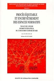 Procès équitable et enchevêtrement des espaces normatifs
