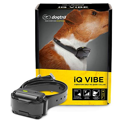 Dogtra iQ Vibe Vibration Only No Bark Collar Rechargeable