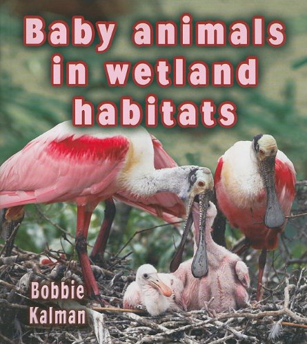 Baby Animals in Wetland Habitats (Habitats of Baby Animals)