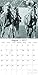 Beatufiul Photographs of Legendary Race Horses 2017 Monthly Wall Calendar, 12