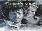 Echoes of Insanity (Dark Shadows)