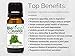 BioFinest Coriander Oil - 100% Pure Coriander Essential Oil - Premium Organic - Therapeutic Grade - Best For Aromatherapy - Food Enhancer - Promote Lower Blood Pressure - FREE E-Book (10ml)