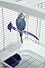 Vision Bird Cage Model S02 - Small