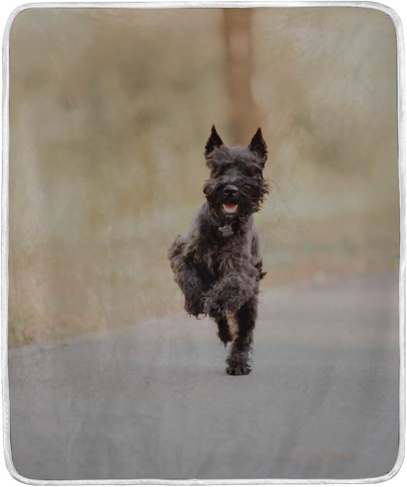 miniature schnauzer plush