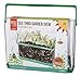 Beetle & Bee See Thru Garden View by Toysmith, Root Viewer - DIY Arts & Crafts Gardening for Kids & Teens, Boys & Girls, See Thru Root Viewer,