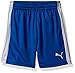PUMA Big Boys' Performance Poly Short, True Blue Stripe, Medium (10/12)