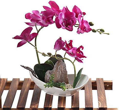 Leeman Artificial Lifelike Real Touch Flowers Arrangement Phalaenopsis Bonsai Orchid Miniascape Home Decoration Holiday Gift (Pink 530)