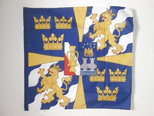 AZ FLAG, Royal Standard of Sweden Flag, 3x3 Ft, 100% Polyester Swedish Kingdom Banner with Sleeve, Fade Resistant