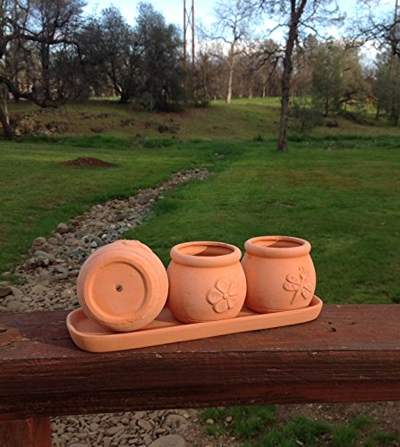 Terra Cotta Clay Set of 3 Small Round Embossed Earthenware 
