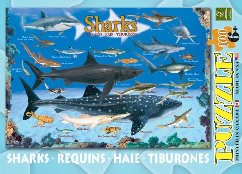 Sharks 100 Piece Jigsaw Puzzle