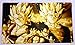Dragonball Z Vegito Gogeta TCG playmat, gamemat 24