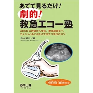 Atete miru dake gekiteki kyuÌ„kyuÌ„ ekoÌ„juku : eÌ„biÌ„shiÌ„diÌ„ no hyoÌ„ka kara kossetsu nanbu soshiki made chokotto ateru da
